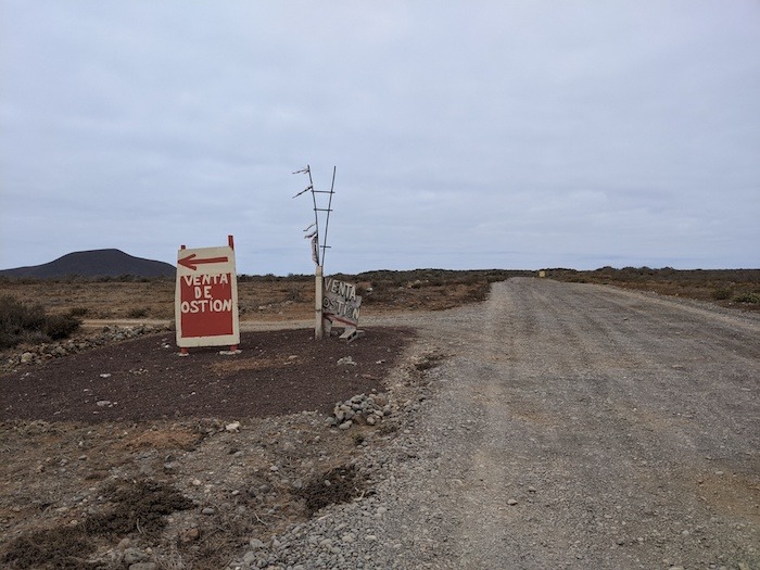 sign saying "oysters for sale"