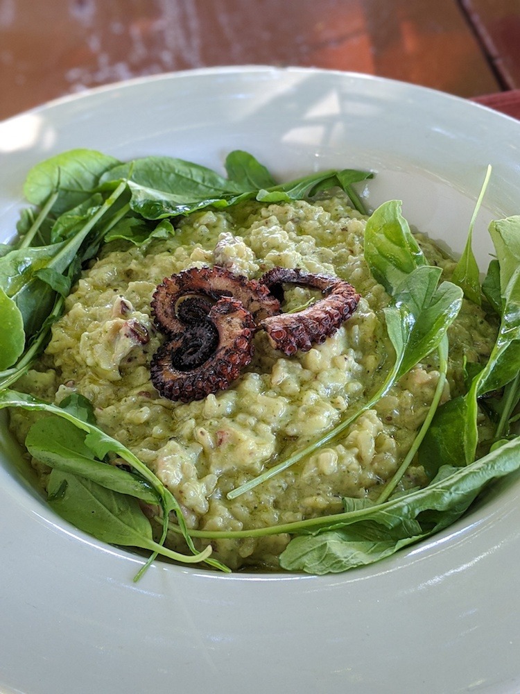 octopus risotto