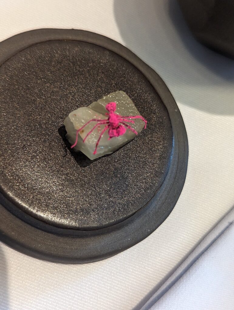 Pink ant on plate